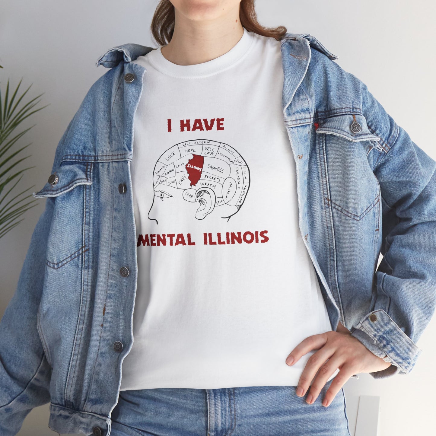 I Have Mental Illinois